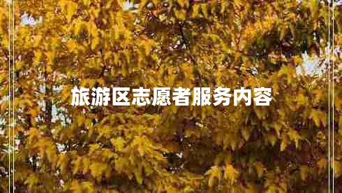 旅游區志愿者服務(wù)內容
