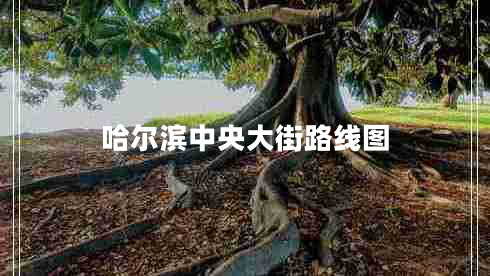 哈爾濱中央大街路線(xiàn)圖