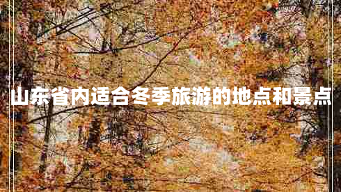 山東省內適合冬季旅游的地點(diǎn)和景點(diǎn)