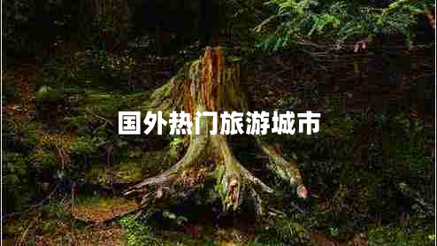 國外熱門(mén)旅游城市