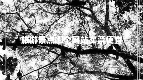 旅游景點(diǎn)哪個(gè)網(wǎng)站買(mǎi)票便宜