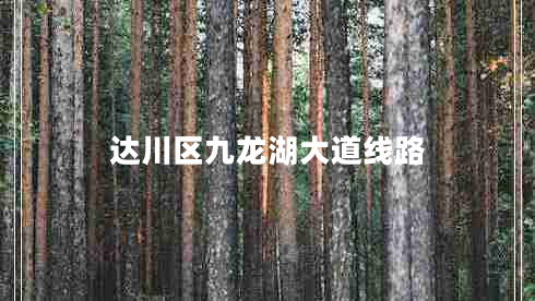 達川區九龍湖大道線(xiàn)路