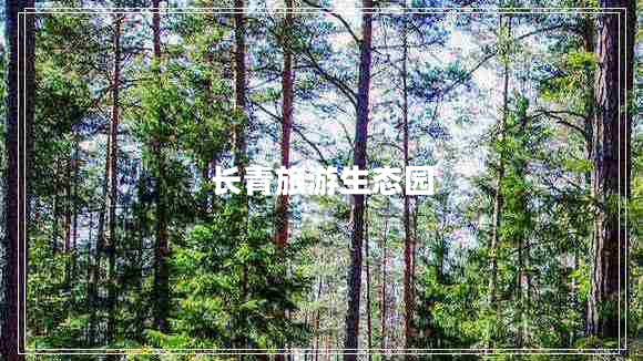 長(cháng)青旅游生態(tài)園