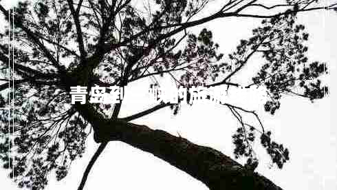青島到三峽的旅游線(xiàn)路