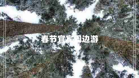 春節宜賓周邊游