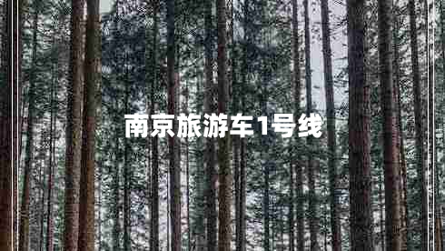 南京旅游車(chē)1號線(xiàn)