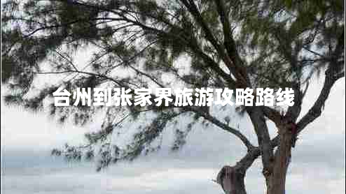 臺州到張家界旅游攻略路線(xiàn)