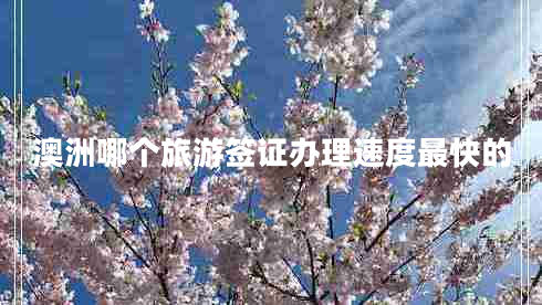 澳洲哪個(gè)旅游簽證辦理速度最快的