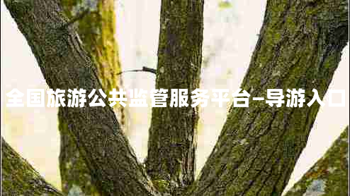 全國旅游公共監管服務(wù)平臺—導游入口