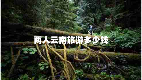 兩人云南旅游多少錢(qián)