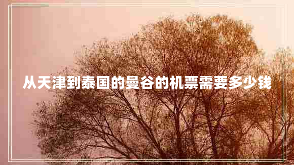 從天津到泰國的曼谷的機票需要多少錢(qián)