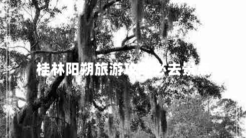 桂林陽(yáng)朔旅游攻略必去景點(diǎn)