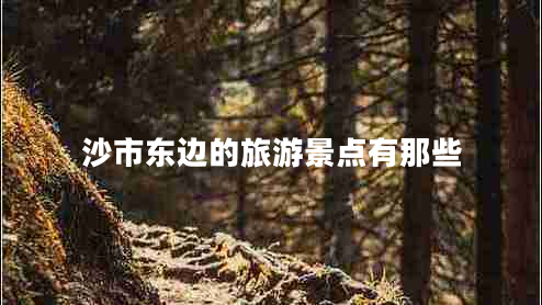 沙市東邊的旅游景點(diǎn)有那些