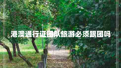 港澳通行證團隊旅游必須跟團嗎