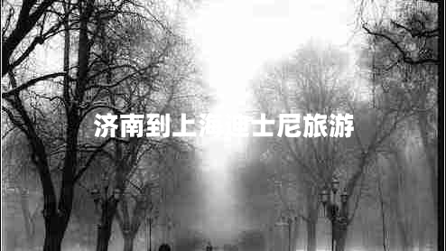 濟南到上海迪士尼旅游