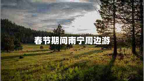 春節期間南寧周邊游