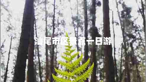 汕尾市區景點(diǎn)一日游