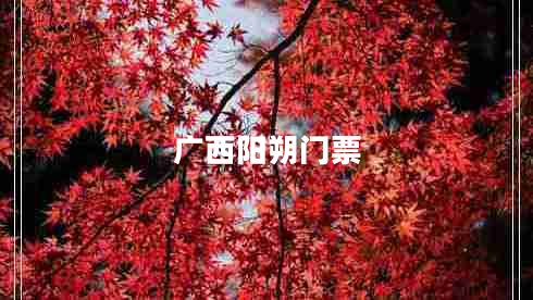 廣西陽(yáng)朔門(mén)票