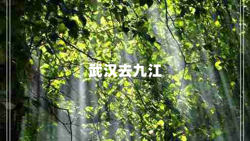 武漢去九江