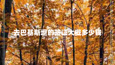 去巴基斯坦的簽證大概多少錢(qián)