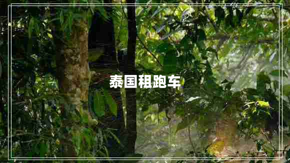 泰國租跑車(chē)