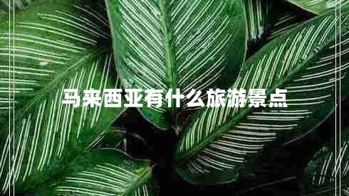 馬來(lái)西亞有什么旅游景點(diǎn)
