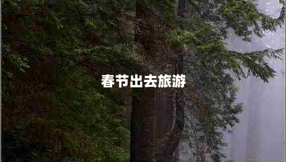 春節出去旅游