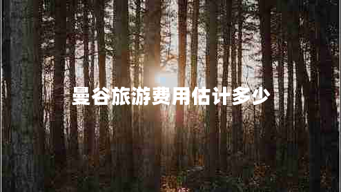 曼谷旅游費用估計多少
