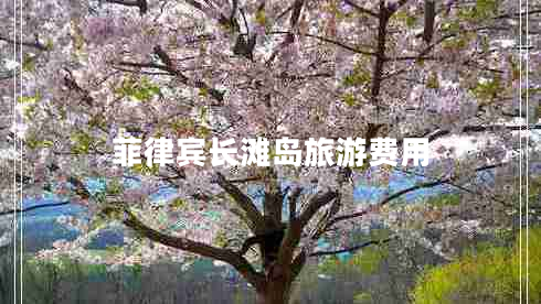 菲律賓長(cháng)灘島旅游費用