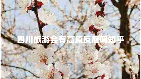 四川旅游會(huì )有高原反應嗎知乎