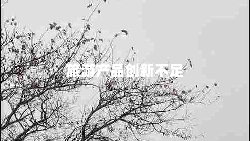 旅游產(chǎn)品創(chuàng  )新不足