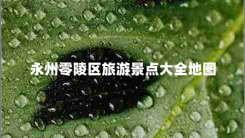 永州零陵區旅游景點(diǎn)大全地圖