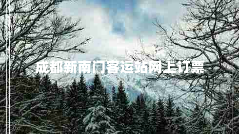 成都新南門(mén)客運站網(wǎng)上訂票