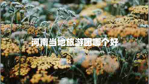 河南當地旅游團哪個(gè)好