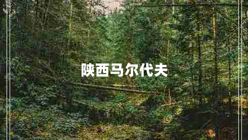 陜西馬爾代夫