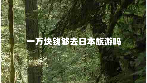 一萬(wàn)塊錢(qián)夠去日本旅游嗎