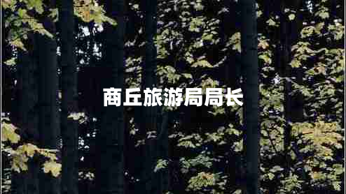 商丘旅游局局長(cháng)