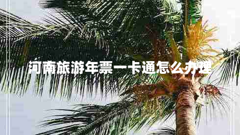 河南旅游年票一卡通怎么辦理