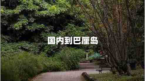 國內到巴厘島
