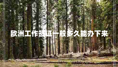 歐洲工作簽證一般多久能辦下來(lái)