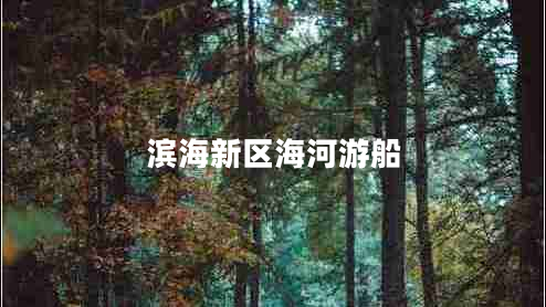 濱海新區海河游船