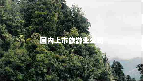 國內上市旅游業(yè)公司