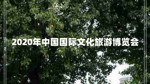 2020年中國國際文化旅游博覽會(huì )