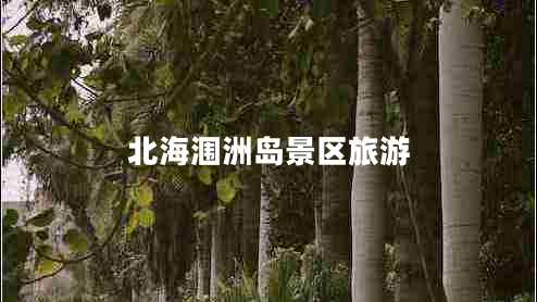 北海潿洲島景區旅游