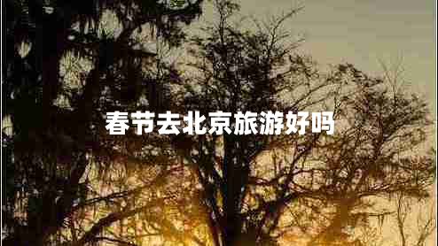 春節去北京旅游好嗎