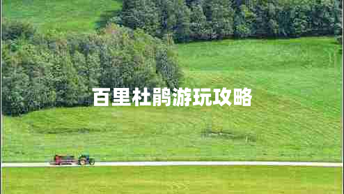 百里杜鵑游玩攻略
