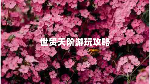 世貿天階游玩攻略
