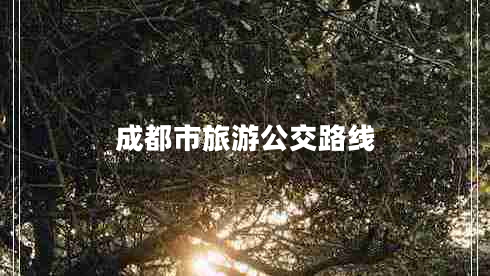 成都市旅游公交路線(xiàn)