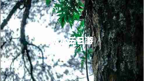 赤水三日游