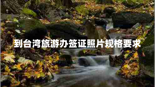 到臺灣旅游辦簽證照片規格要求